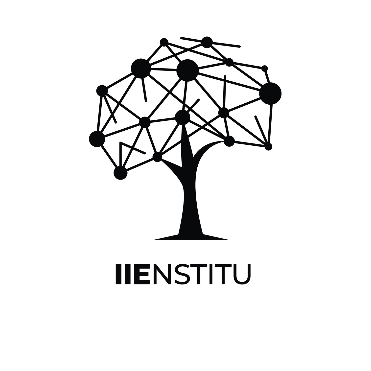 IIENSTITU mark