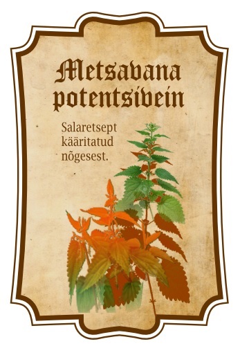 Metsavana potentsivein salaretsept kääritatud nõgesest mark