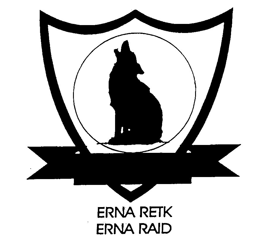 ERNA RETK ERNA RAID mark