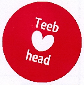 Teeb head mark