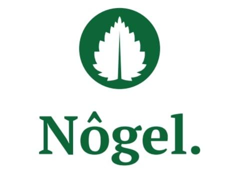 Nogel mark