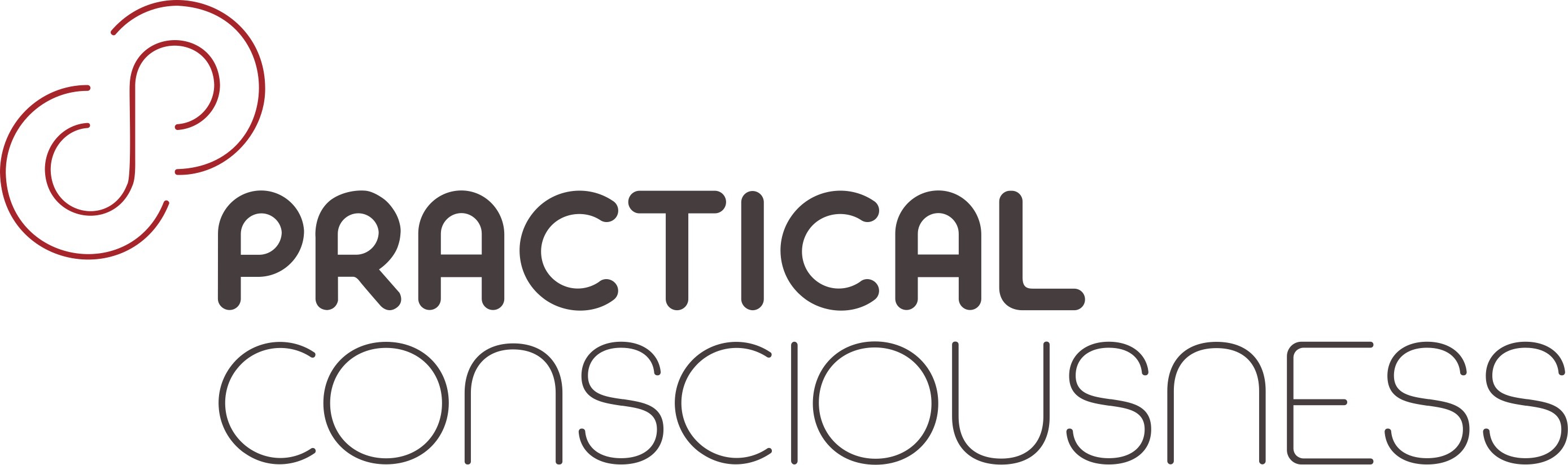 PRACTICAL CONSCIOUSNESS mark