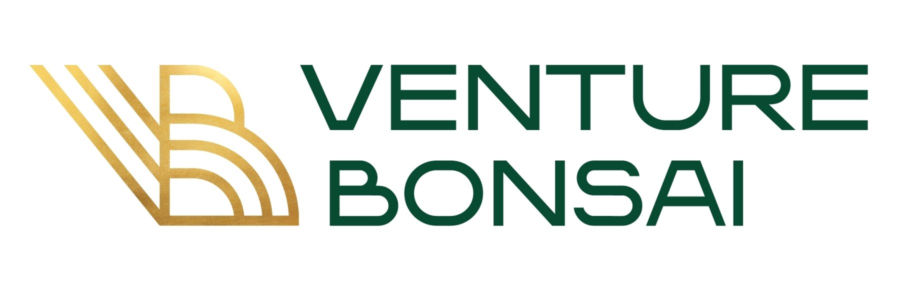 VB VENTURE BONSAI mark
